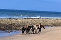 Mexico 049